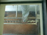 Tag 3 - 3 - Besuch der Senffabrik Fallot (6)