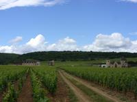 Tag 3 - 4 - Besuch des Weinguts Clos de Vougeot (8)