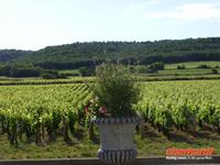 Tag 3 - 6 - Weinverkostung in Marsannay-la-Côte (6)