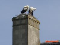 Tag 4 - 5 - Besuch der Außenanlagen des Schlosses Cormartin (9)