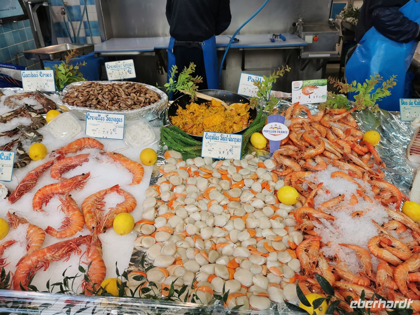 Paris Petit  Tag 4 Frische Meerestiere am Montmartre