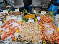 Paris Petit  Tag 4 Frische Meerestiere am Montmartre