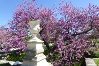 Paris Petit Tag 3 TJardin des Tuileries  