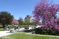 Paris Petit Tag 2 Jardin des Tuileries
