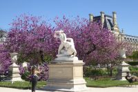 Paris Petit Tag 3 TJardin des Tuileries  