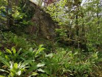 Paris Petit Tag 4 Am Montmartre