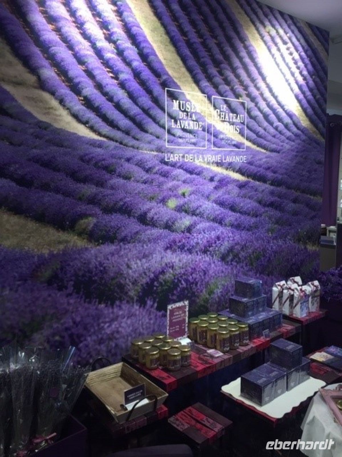 Provence Lavendel 2