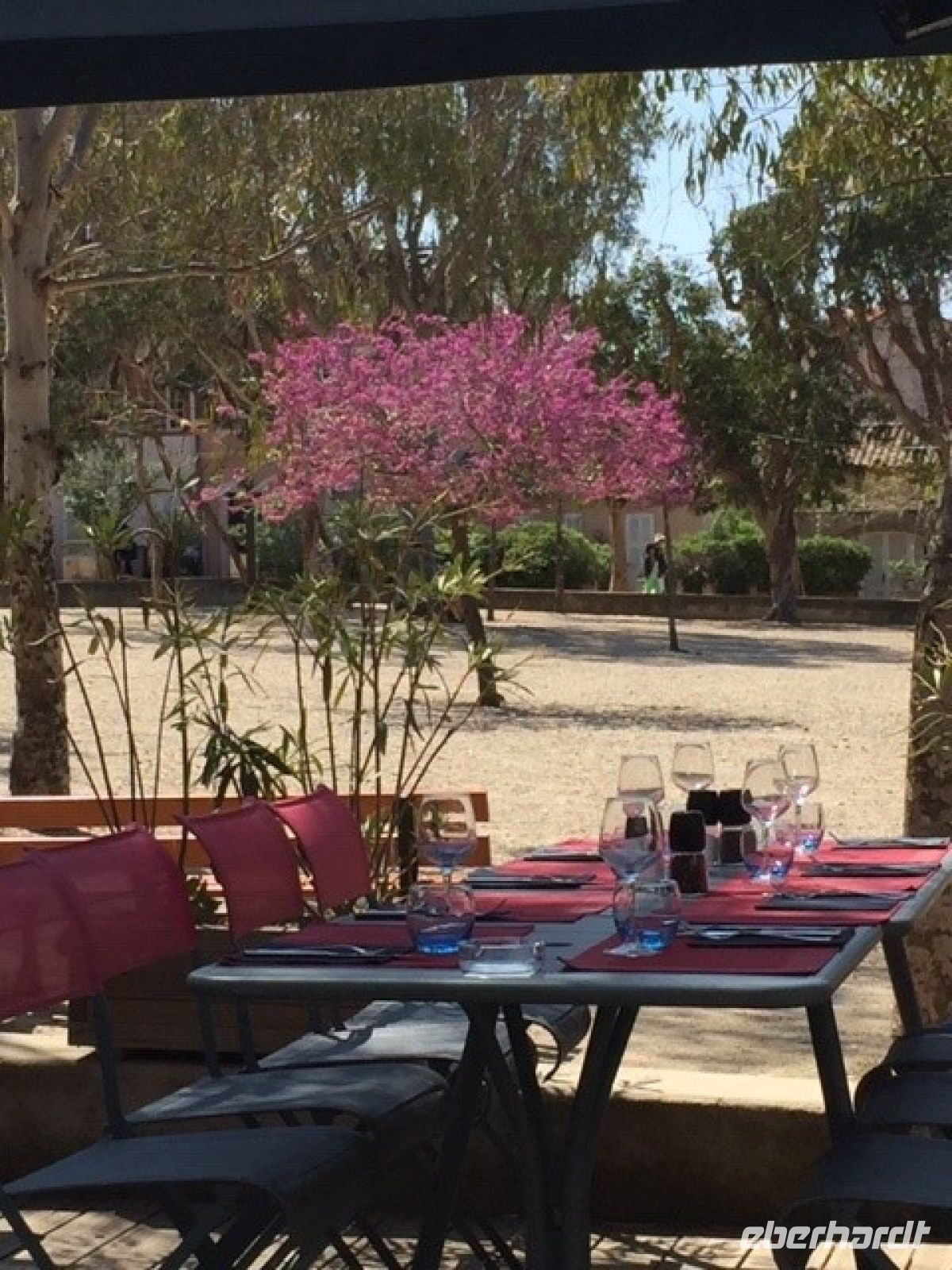 Provence Porquerolles 1