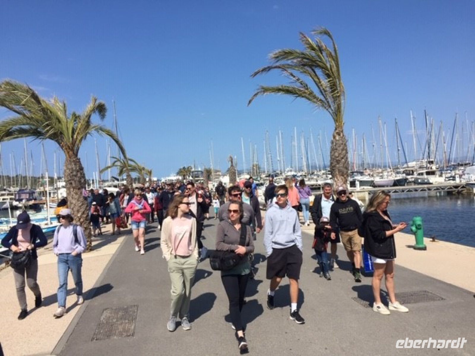 Provence Porquerolles