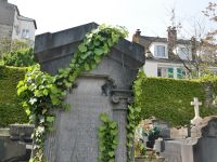 natürliche Ästhetik