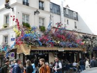 Plastik oder echt???