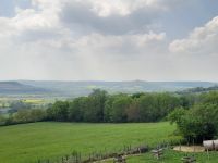 Weinprobe Domaine La Croix de Montjoie