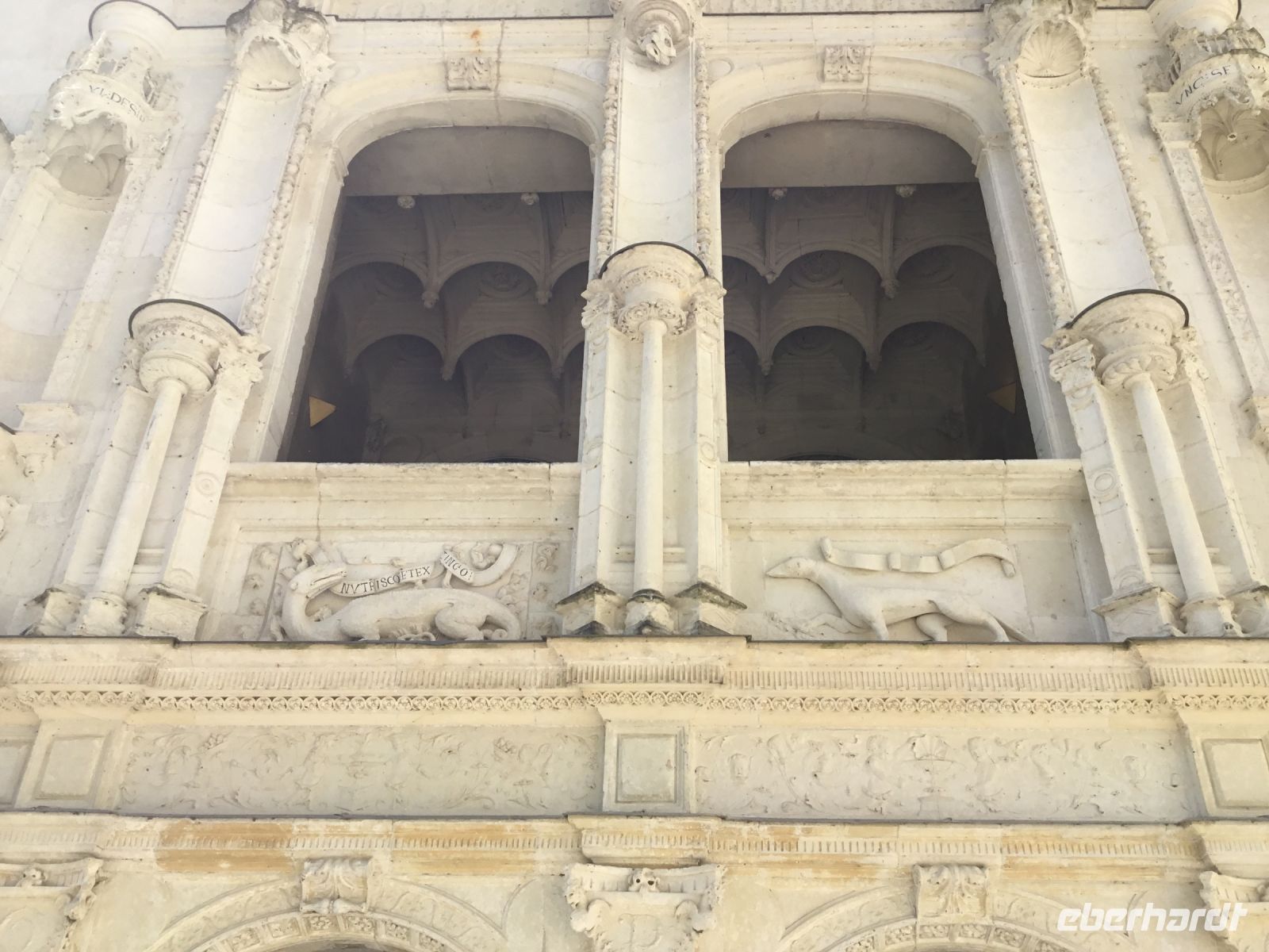 Salamander und Hermelin 