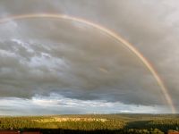 …und wieder zu Hause angekommen!