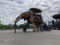 ….denn es gibt ihn tatsächlich in Nantes!