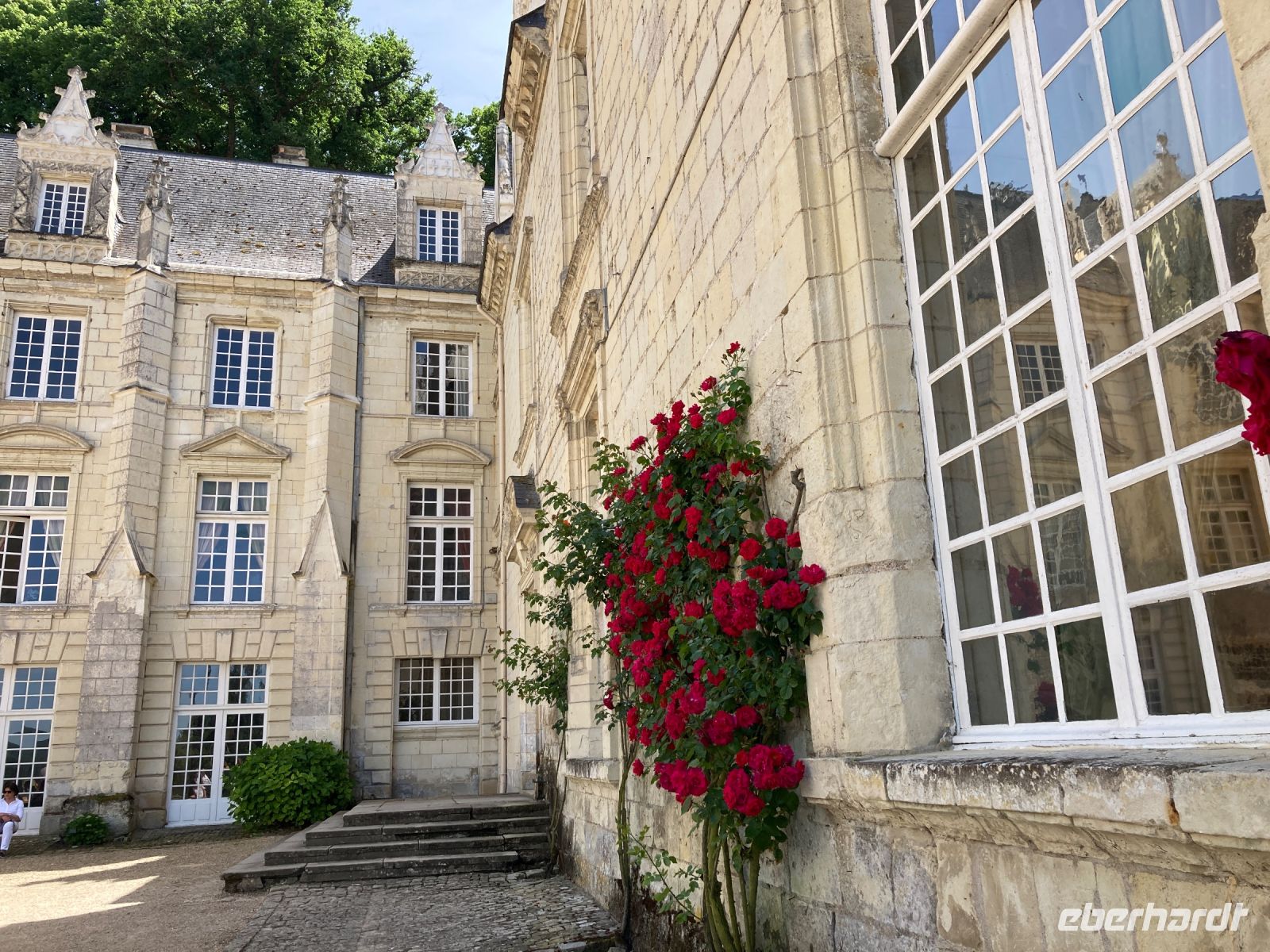 …eindeutig Dornröschen!