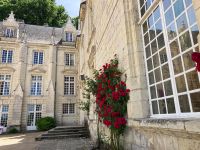 …eindeutig Dornröschen!