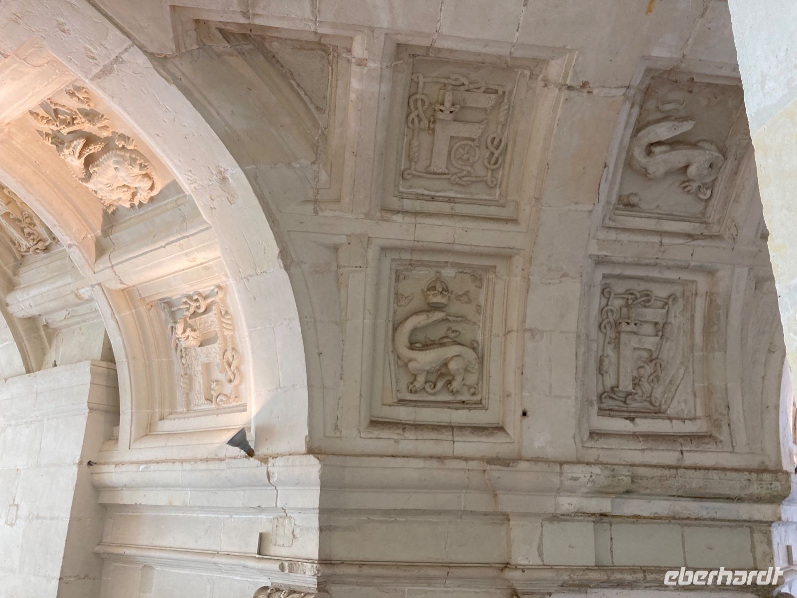 Franz I und sein Salamander 