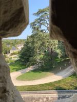 Blick auf die alte Zeder von Château d‘Ussé