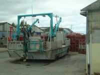 Austernfischerboot Frankreich