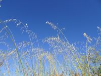 Point du Raz - Frankreich