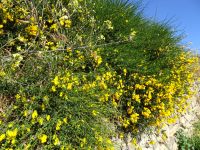 Point du Raz - Frankreich
