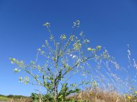 Point du Raz - Frankreich