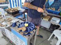 jetzt geht es zur Austernverkostung