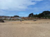 Rosa Granitküste in Ploumanach am Zöllnerpfad