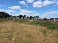 Alignement bei Carnac