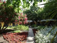 Arles - Hotel Dieu, in Natur