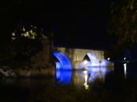 die Brücke von Avignon bei Nacht