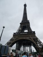 Blick in die Höhe am 