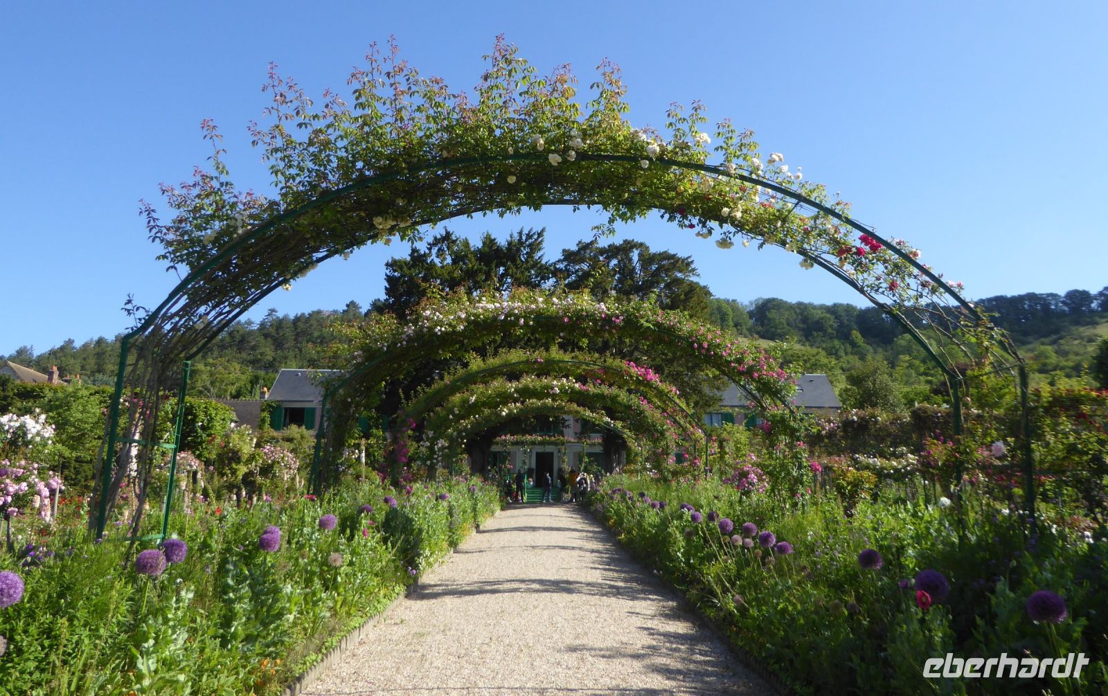 Tag 3 30.05.2022 Monet Garten in Giverny