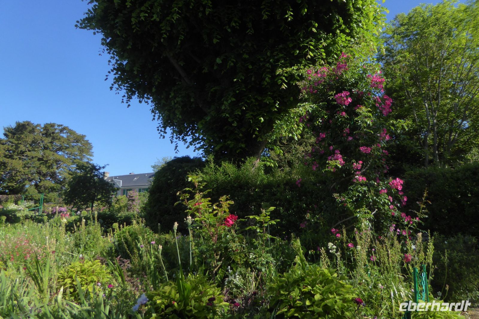 Tag 3 30.05.2022 Monet Garten in Giverny