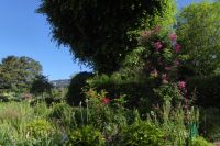 Tag 3 30.05.2022 Monet Garten in Giverny