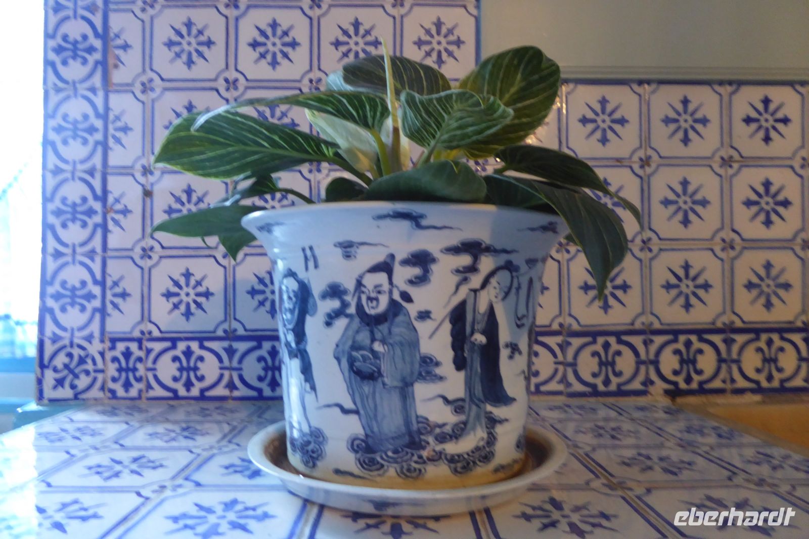 Tag 3 30.05.2022 Monet Garten in Giverny