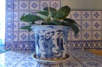 Tag 3 30.05.2022 Monet Garten in Giverny