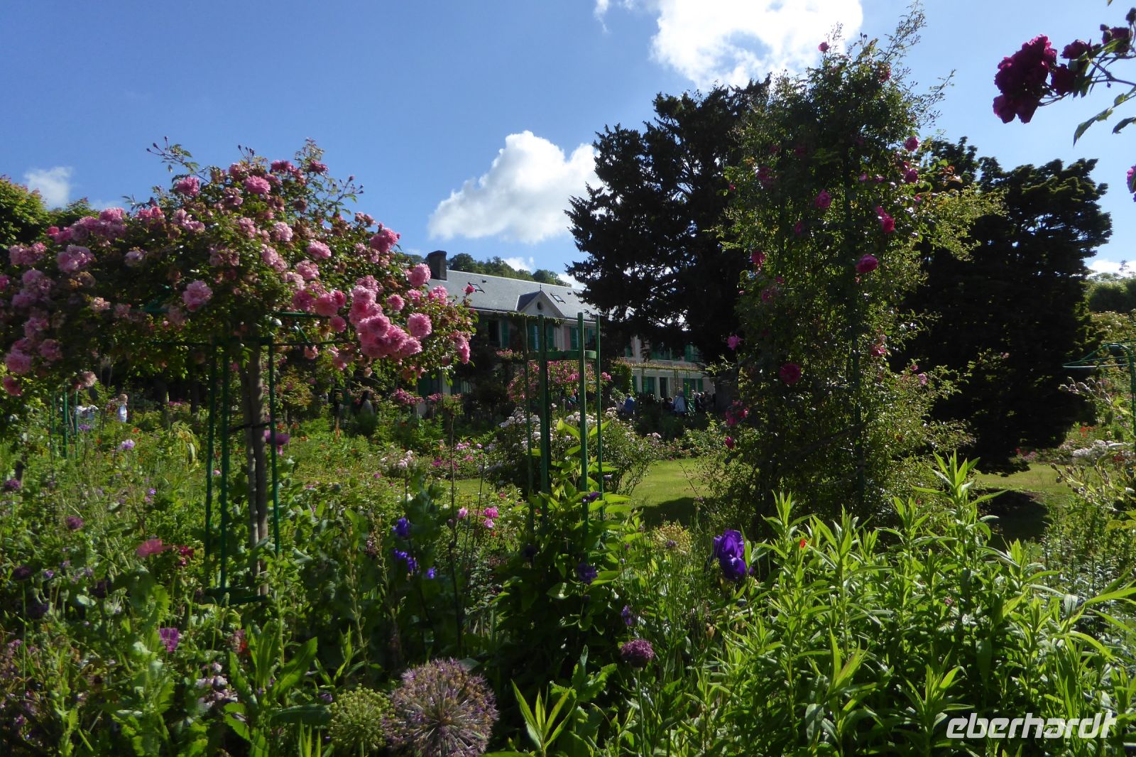 Tag 3 30.05.2022 Monet Garten in Giverny (29)