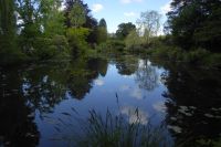 Tag 3 30.05.2022 Monet Garten in Giverny