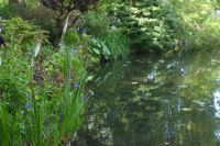 Tag 3 30.05.2022 Monet Garten in Giverny