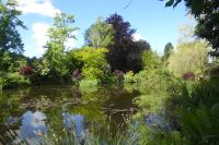 Tag 3 30.05.2022 Monet Garten in Giverny