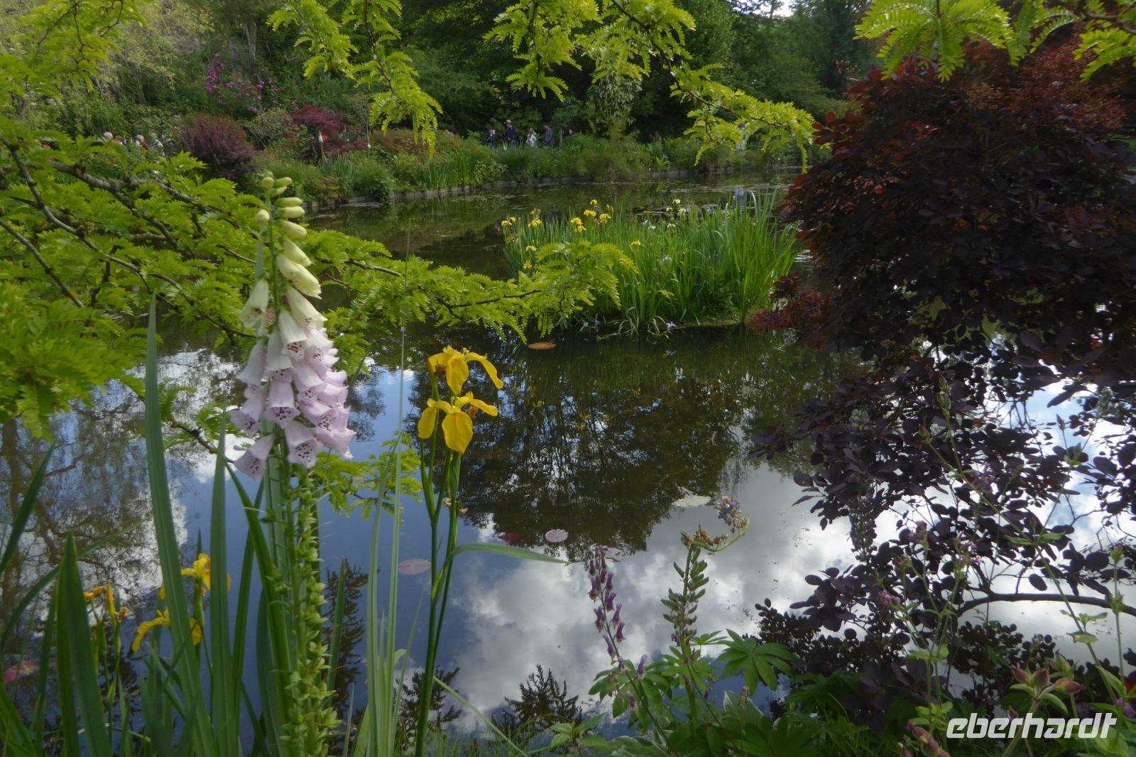 Tag 3 30.05.2022 Monet Garten in Giverny