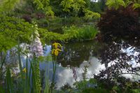 Tag 3 30.05.2022 Monet Garten in Giverny