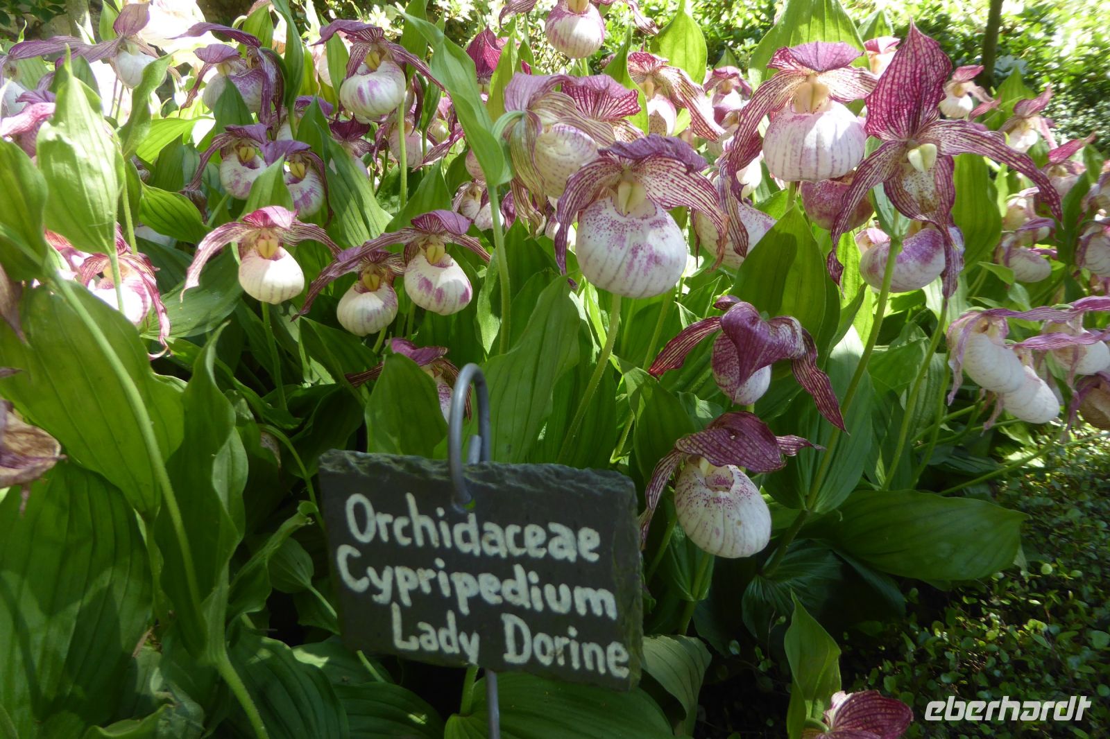 Tag 4 31.05.2022 Étretat