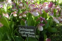 Tag 4 31.05.2022 Étretat