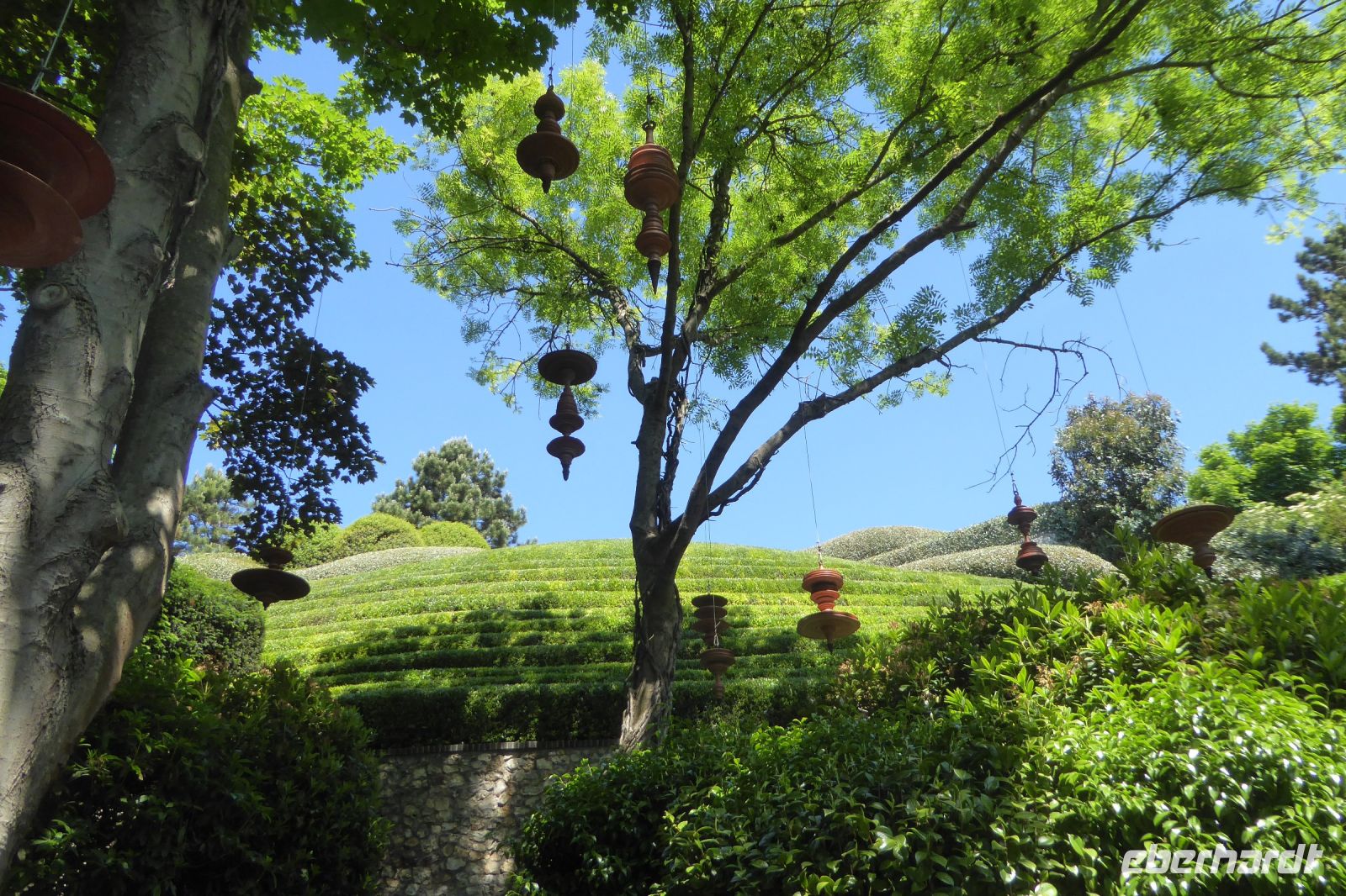 Tag 4 31.05.2022 Étretat