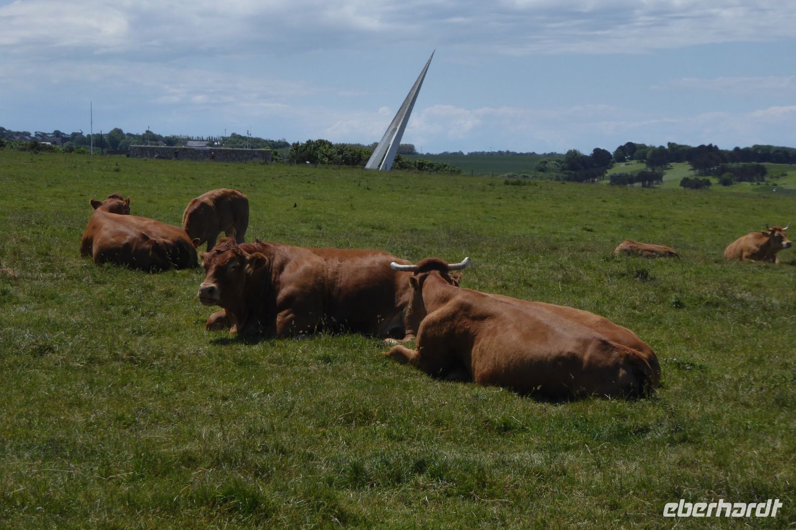Tag 4 31.05.2022 Étretat