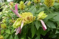 Tag 4 Jardin Suspendus, Le Havre