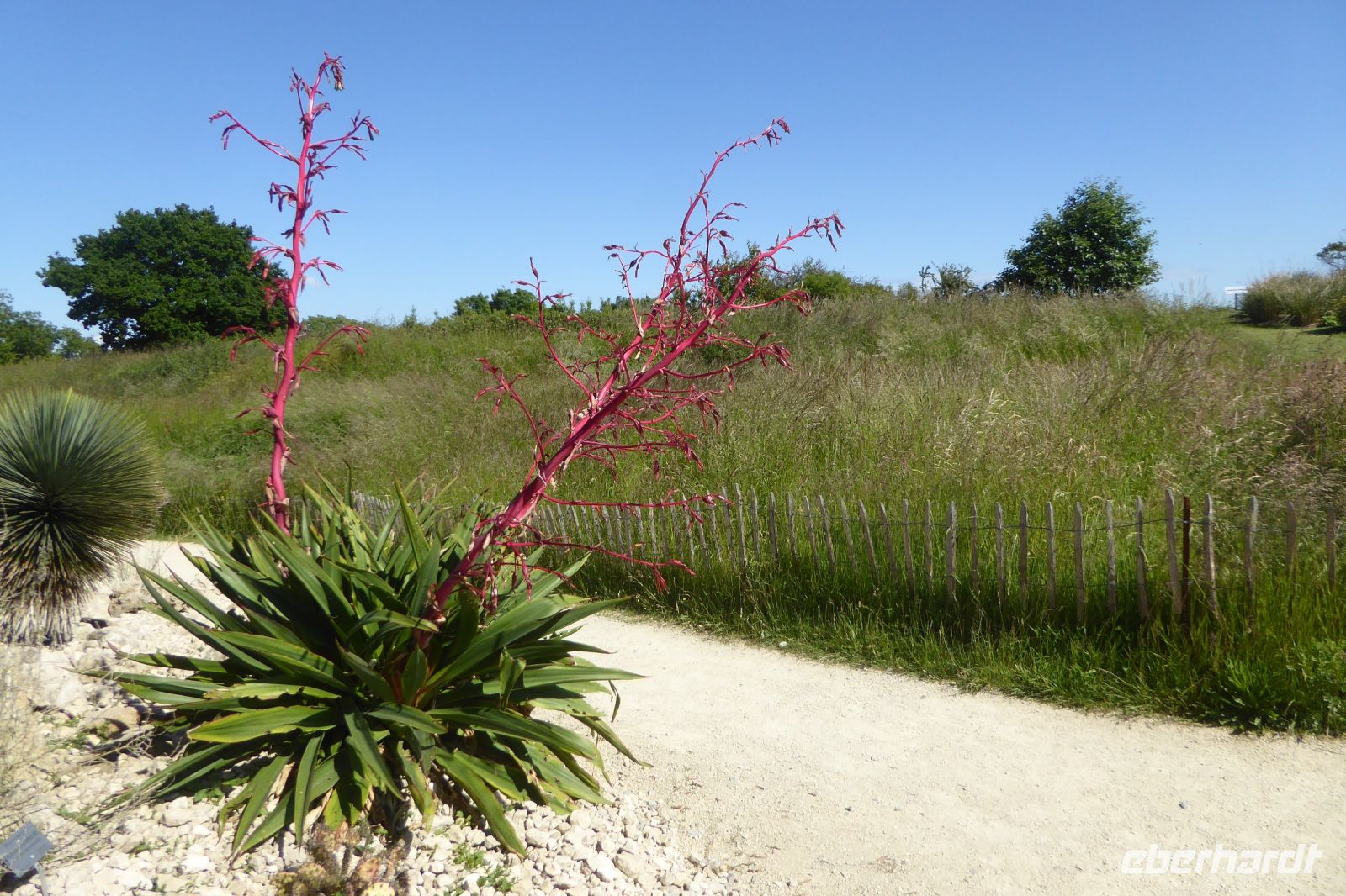 Tag 4 Jardin Suspendus, Le Havre